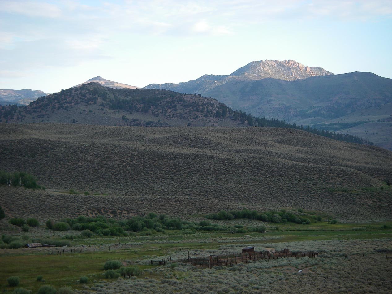 imgp0112.jpg