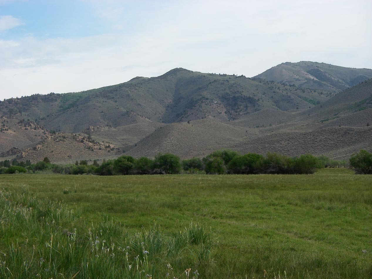 imgp0122.jpg