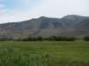 imgp0122_small.jpg