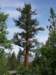 imgp0131_small.jpg