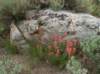 imgp0132_small.jpg