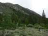 imgp0137_small.jpg