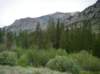 imgp0139_small.jpg