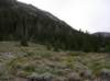 imgp0141_small.jpg