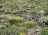 imgp0142_small.jpg