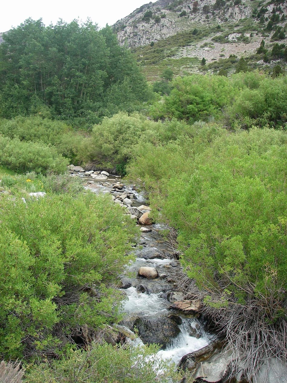 imgp0143.jpg