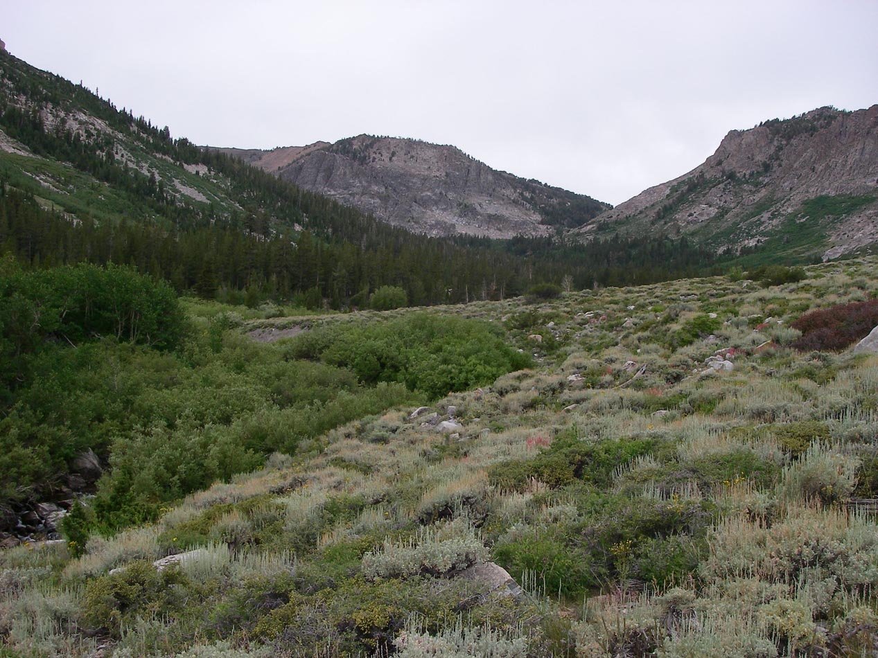 imgp0145.jpg