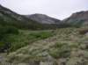 imgp0145_small.jpg