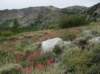 imgp0148_small.jpg