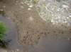imgp0150_small.jpg