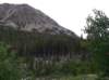 imgp0152_small.jpg