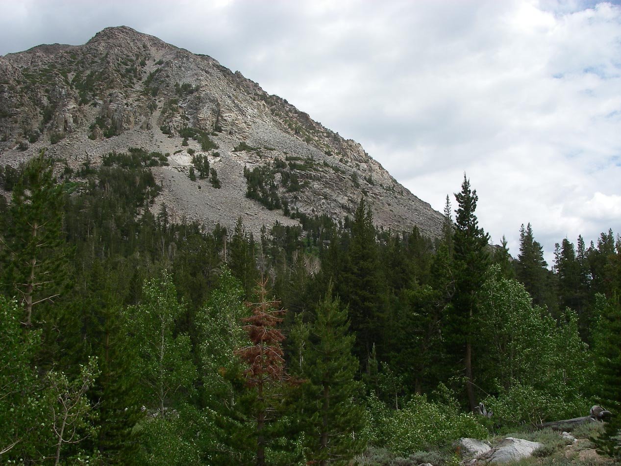 imgp0155.jpg