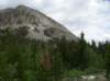 imgp0155_small.jpg