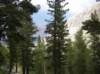 imgp0166_small.jpg