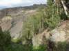 imgp0167_small.jpg