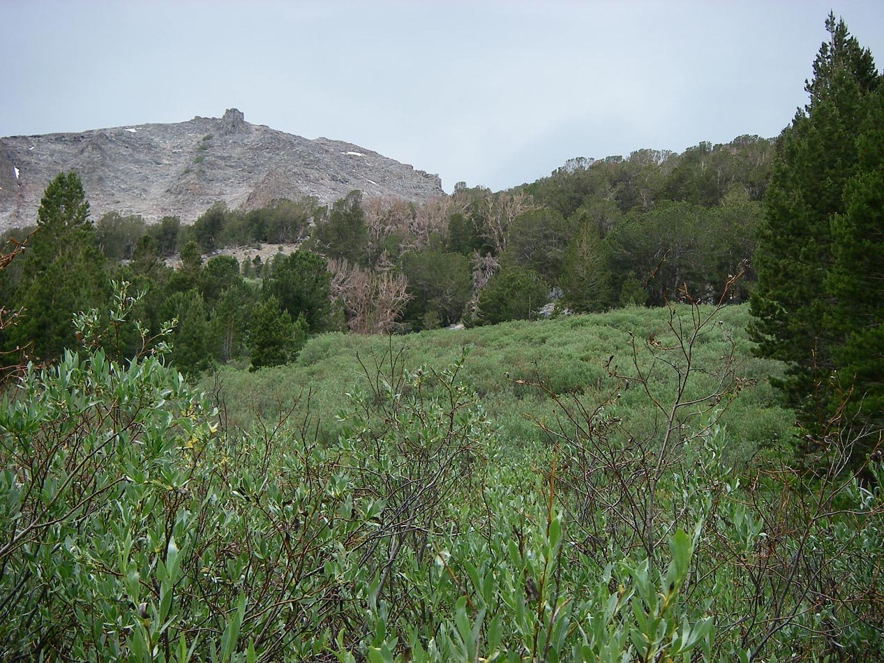 imgp0169.jpg