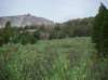 imgp0169_small.jpg