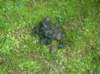 imgp0175_small.jpg