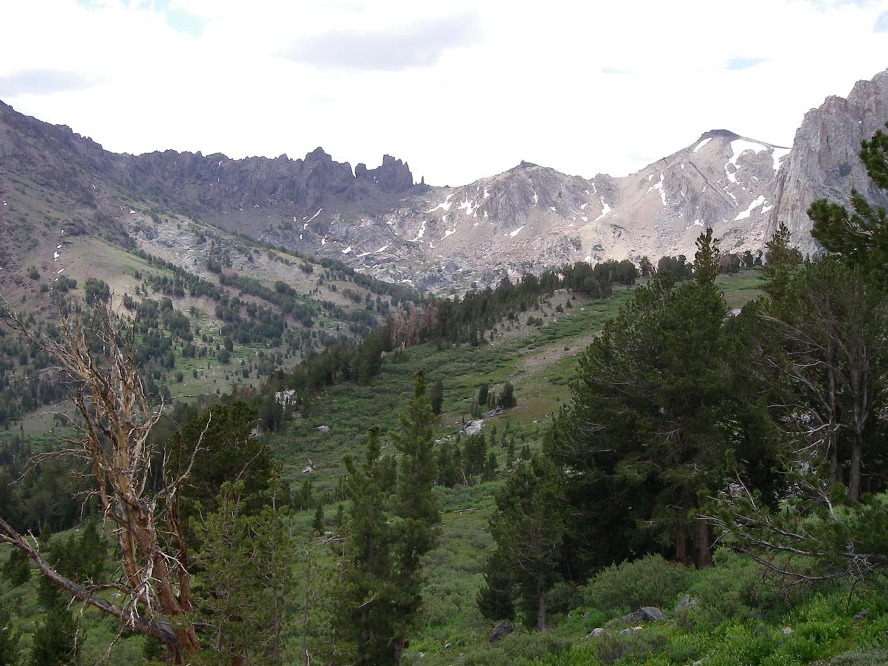 imgp0179.jpg