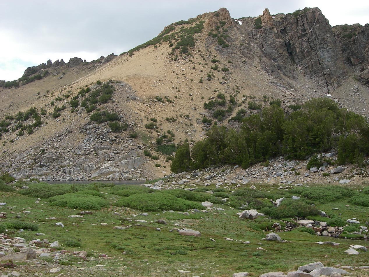 imgp0184.jpg