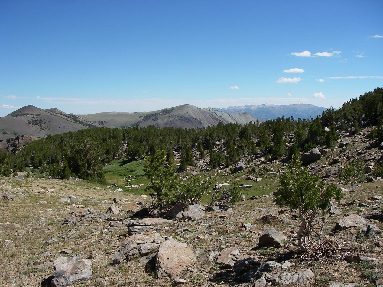 imgp0198.jpg