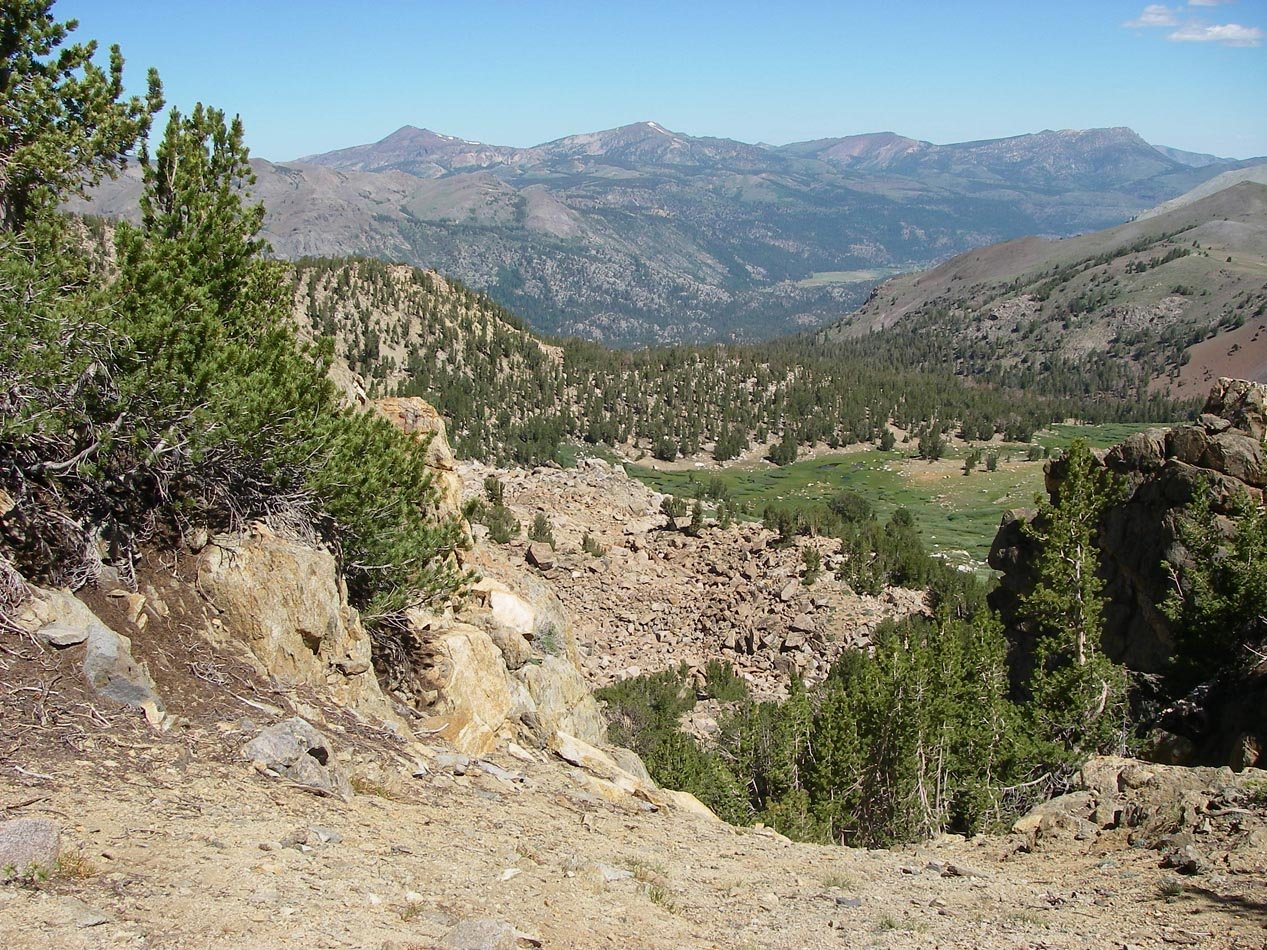 imgp0201.jpg