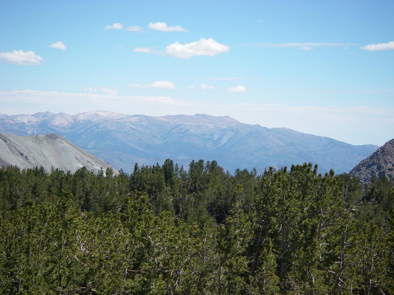 imgp0207.jpg