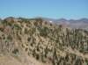 imgp0210_small.jpg
