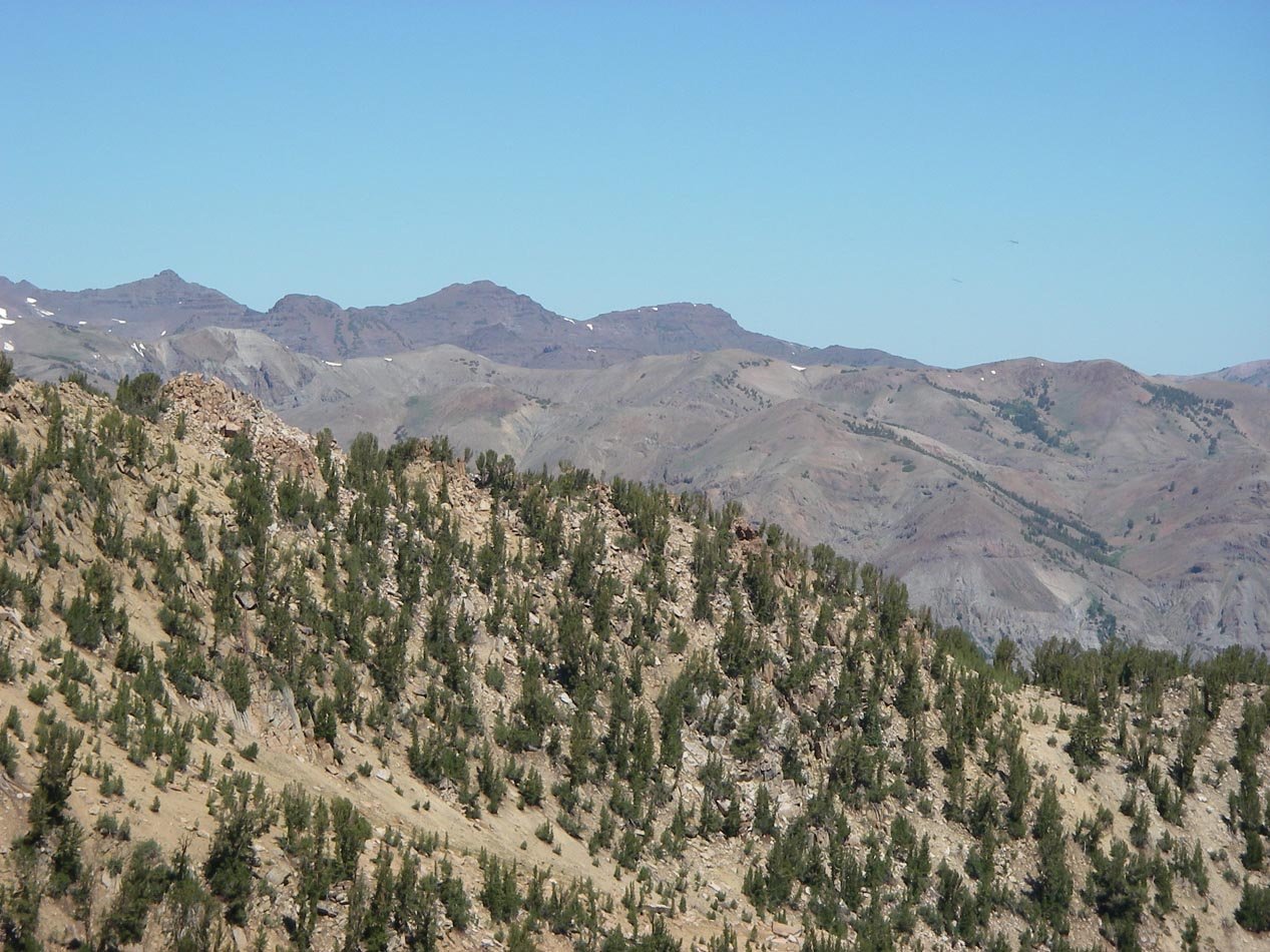 imgp0211.jpg