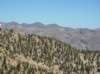 imgp0211_small.jpg