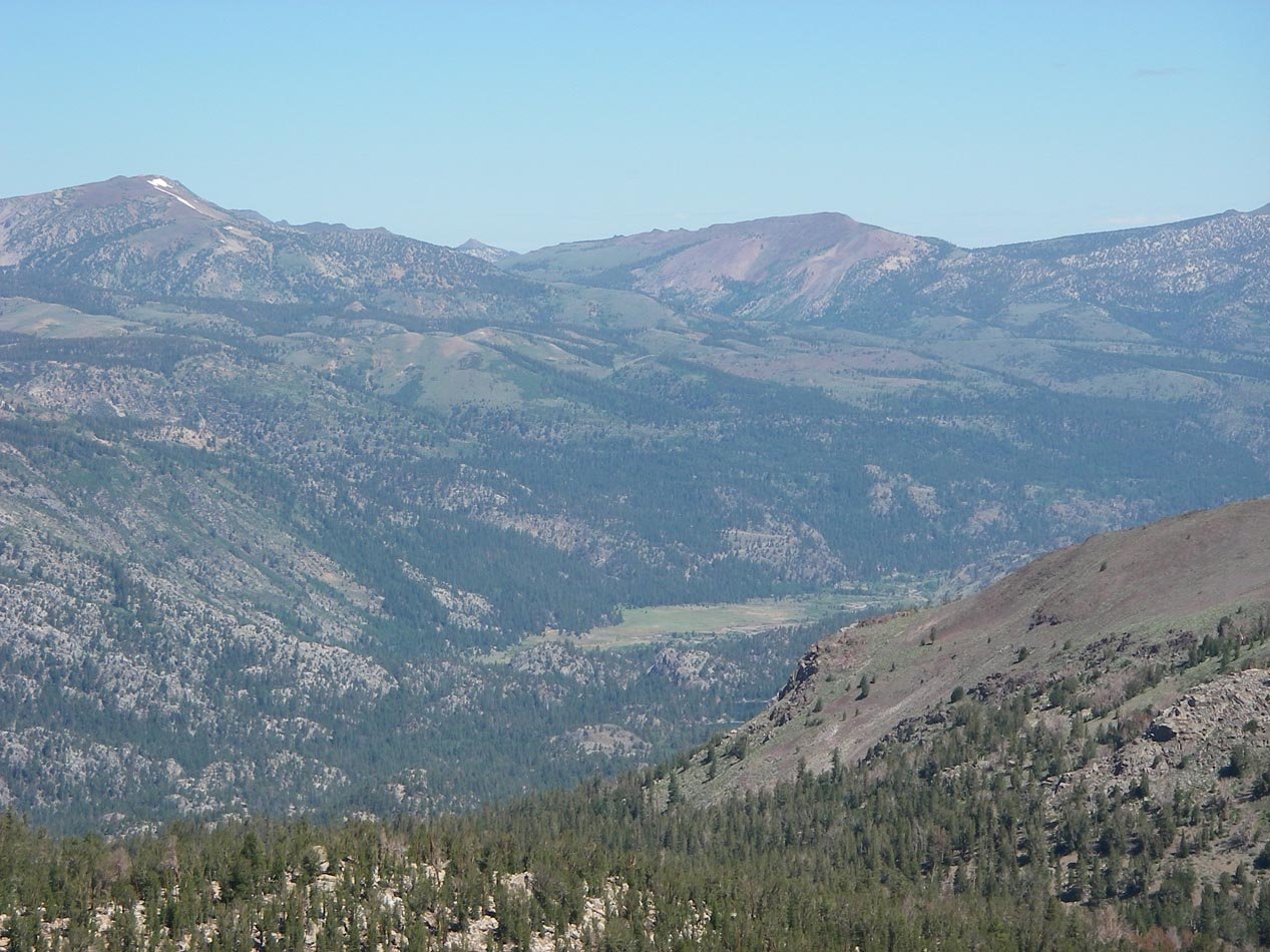 imgp0214.jpg