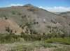 imgp0230_small.jpg