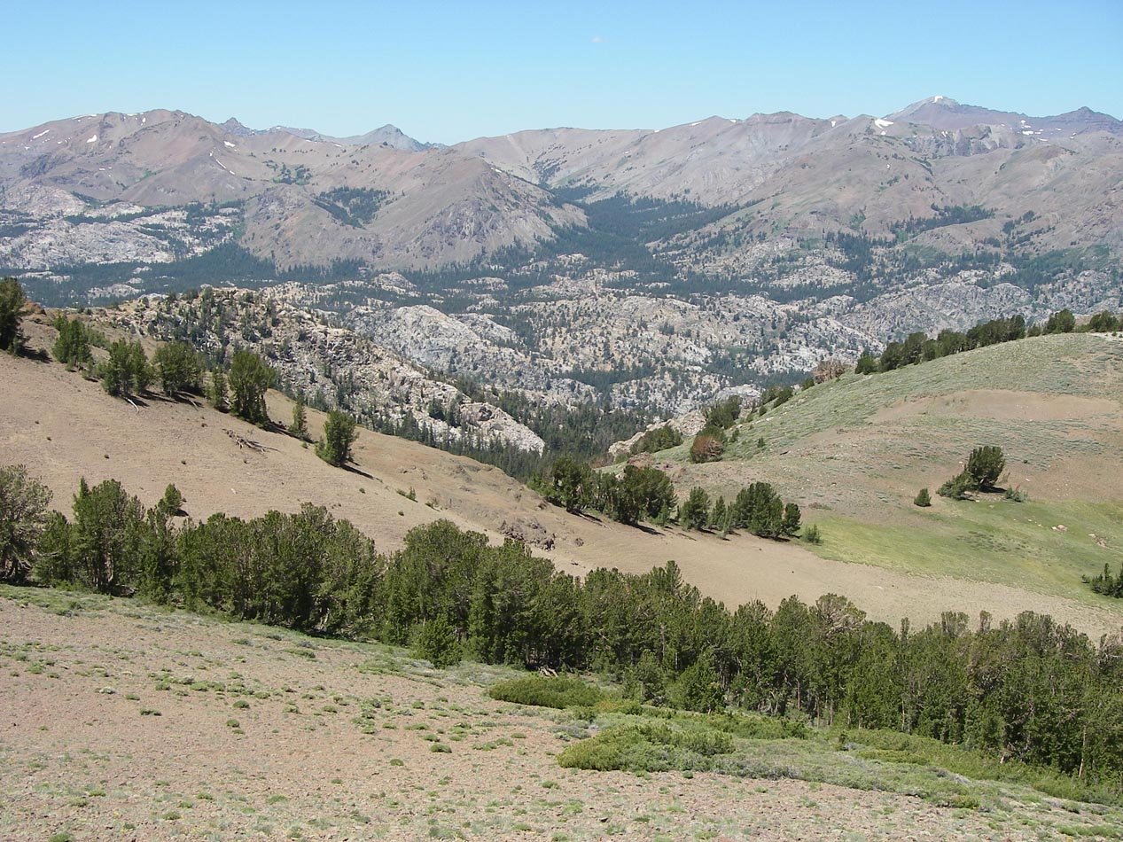 imgp0231.jpg