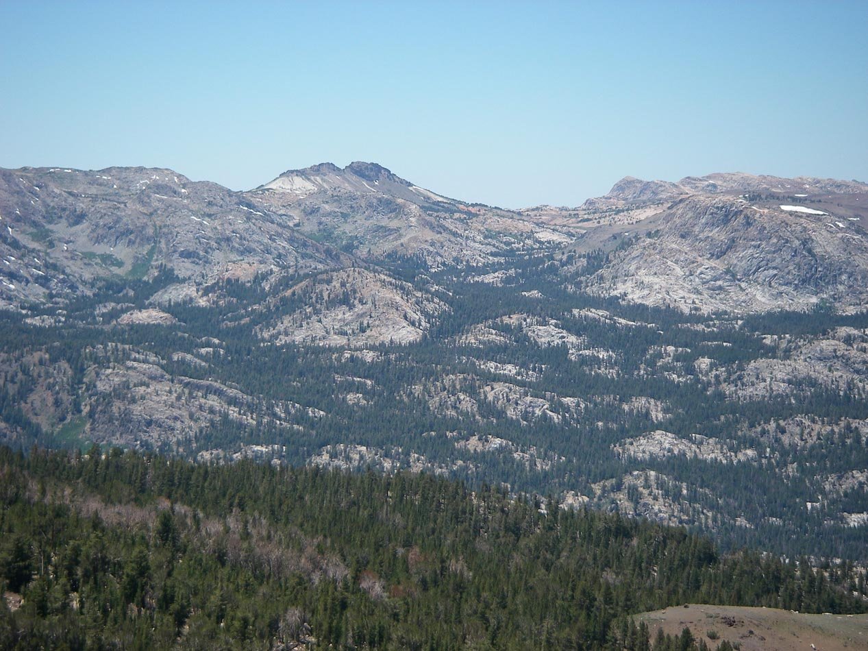 imgp0235.jpg