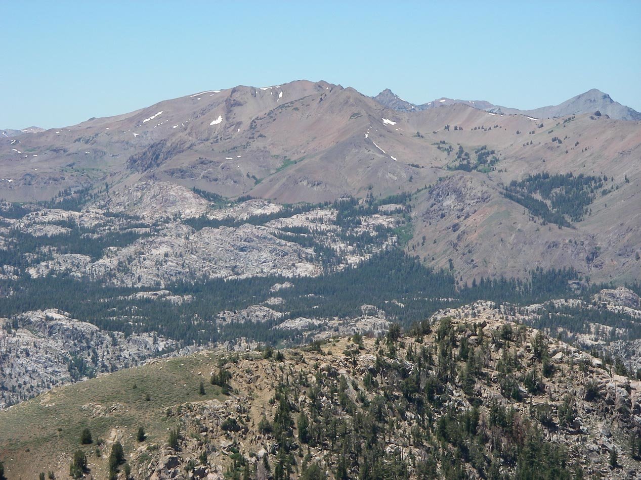 imgp0239.jpg