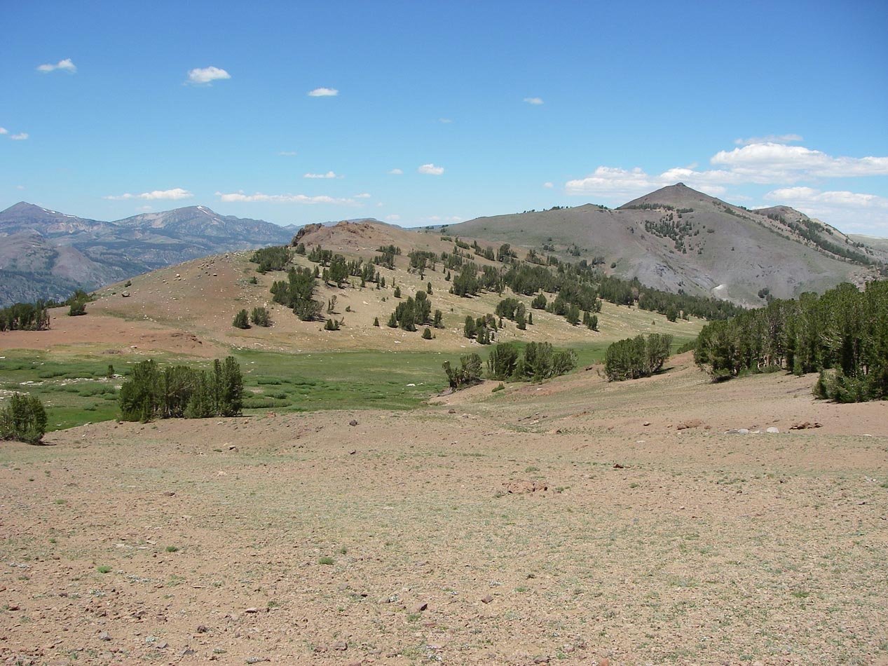 imgp0247.jpg