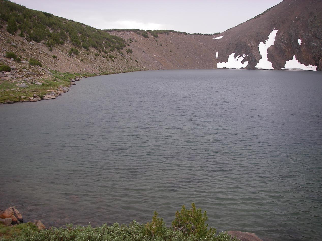 imgp0286.jpg