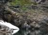 imgp0299_small.jpg