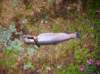 imgp0321_small.jpg