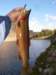 imgp0324_small.jpg