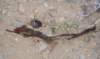 imgp0328_small.jpg