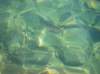 imgp0338_small.jpg