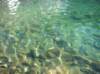 imgp0342_small.jpg