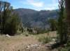 imgp0350_small.jpg