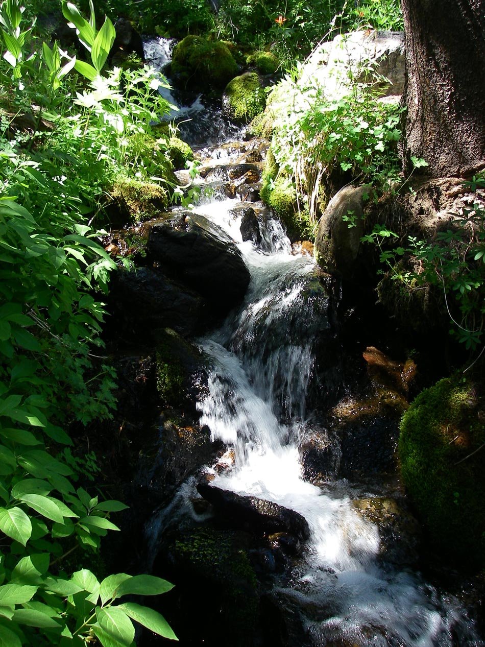 imgp0352.jpg