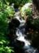 imgp0352_small.jpg