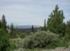 imgp0355_small.jpg