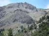 imgp0358_small.jpg