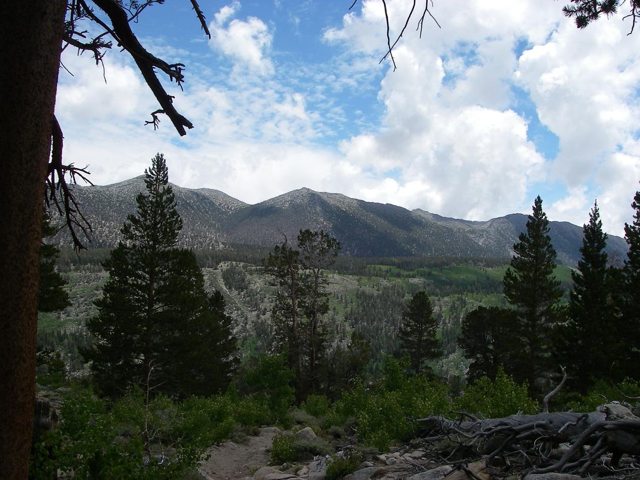 imgp0732.jpg