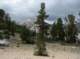 imgp0736_small.jpg